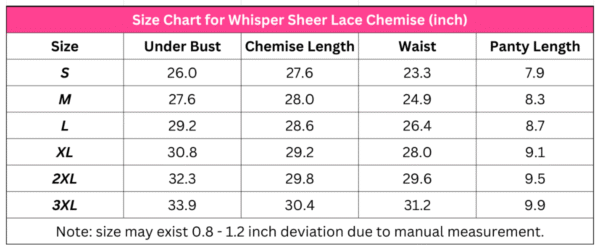 Whisper Sheer Lace Chemise - Image 19